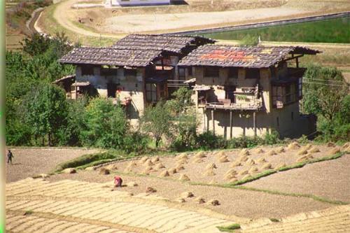 Houses and farm with chilies drying