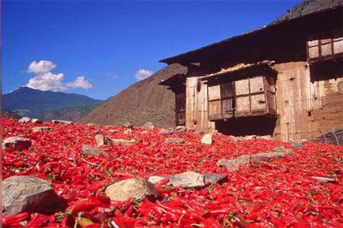 House with chilies on the roof