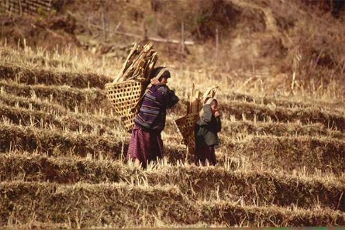 Mother and child carrying wood.